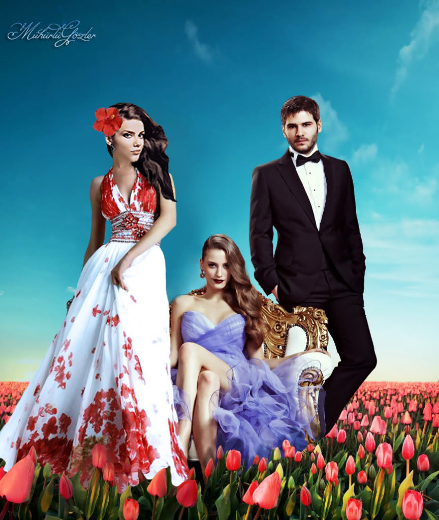 Смотреть турецкий сериал пора тюльпанов 3 сезон