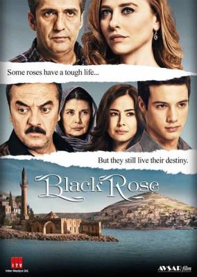 Чорна троянда онлайн / Черная роза